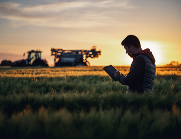 obrazek_2024-06-09_031813930 obrazek_2024-06-09_031813930