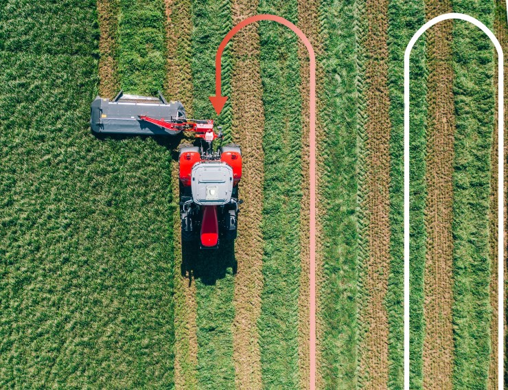 obrazek_2024-06-09_030845378 obrazek_2024-06-09_030845378