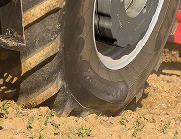 obrazek_2024-06-09_013055484