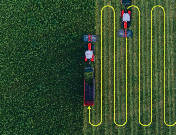 obrazek_2024-06-09_023225408