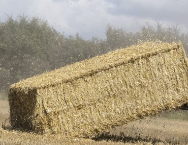 mf-lb-2200-productivity-1